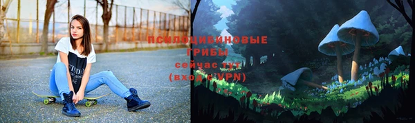 крисы Армянск