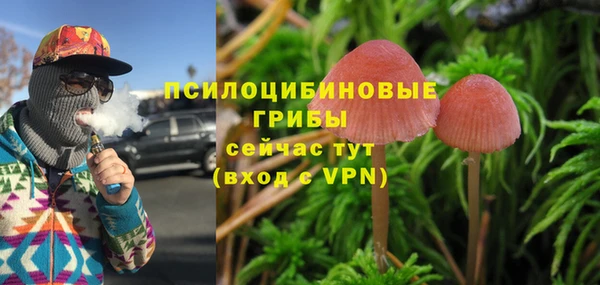 крисы Армянск